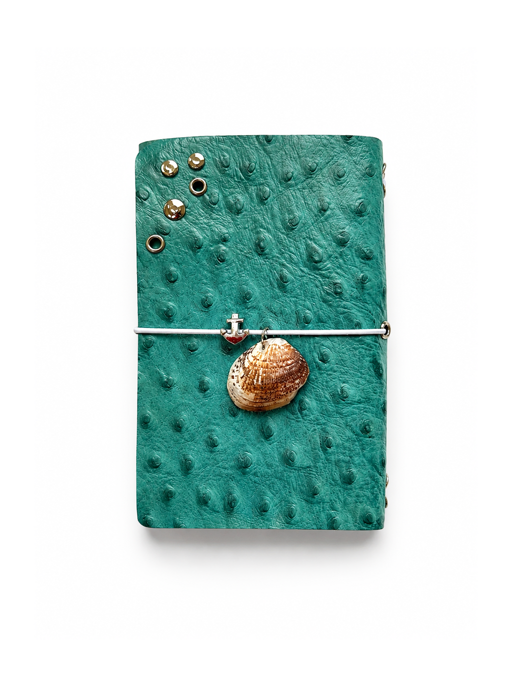 Aqua Journal