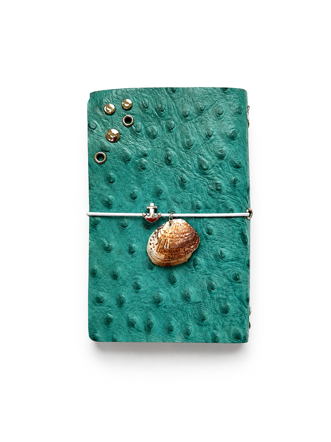 Aqua Journal