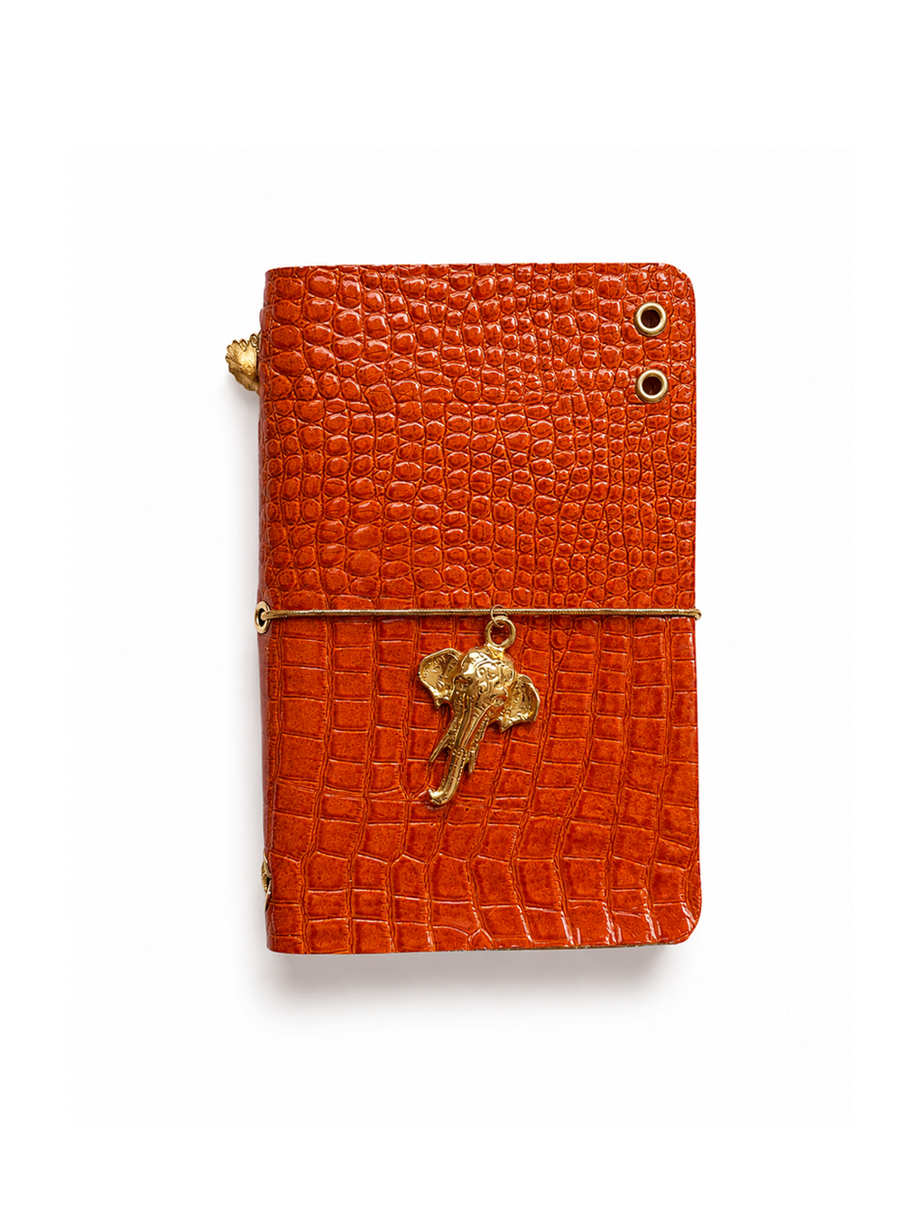 Tropical Journal